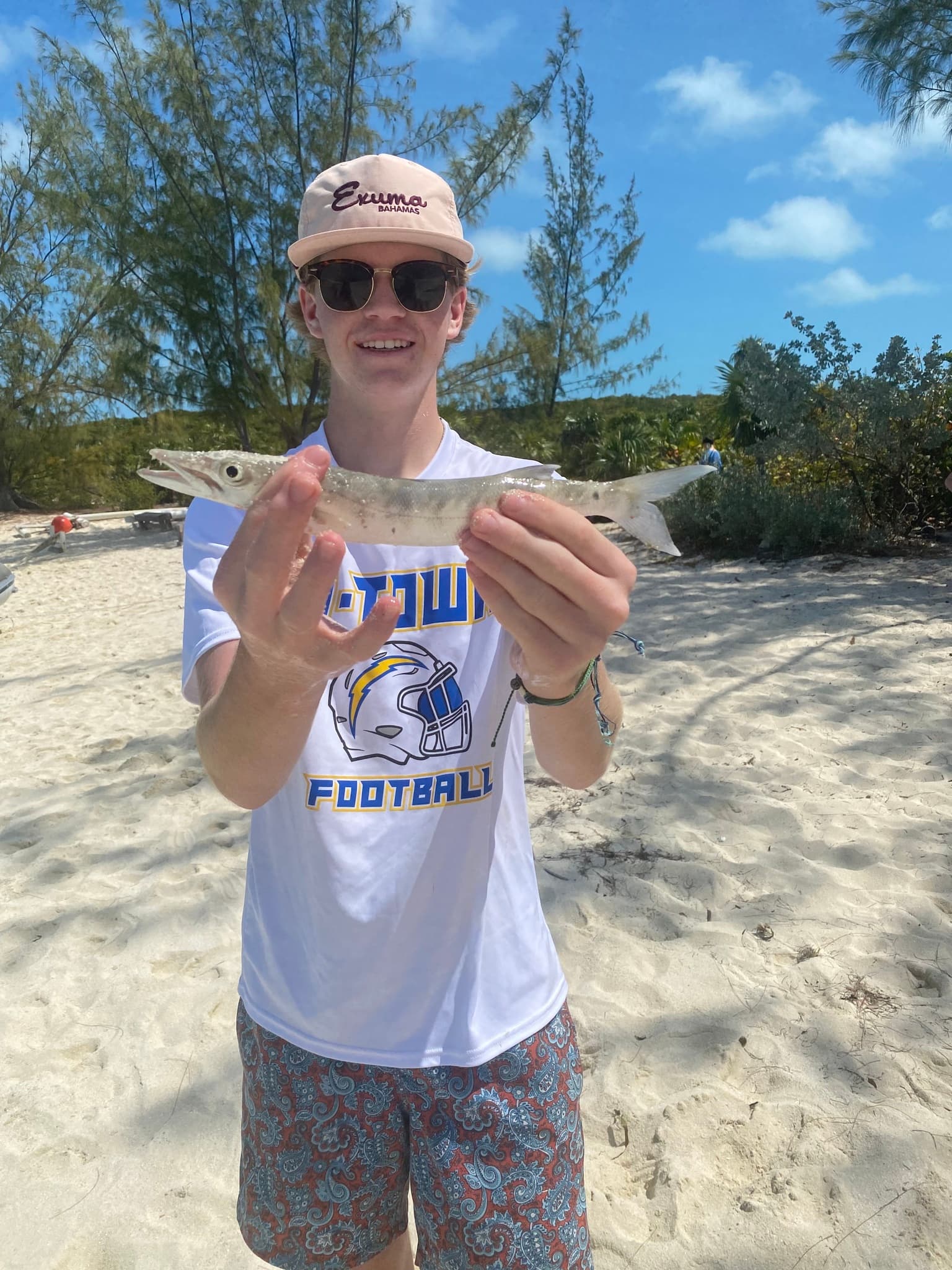 Great Barracuda photo
