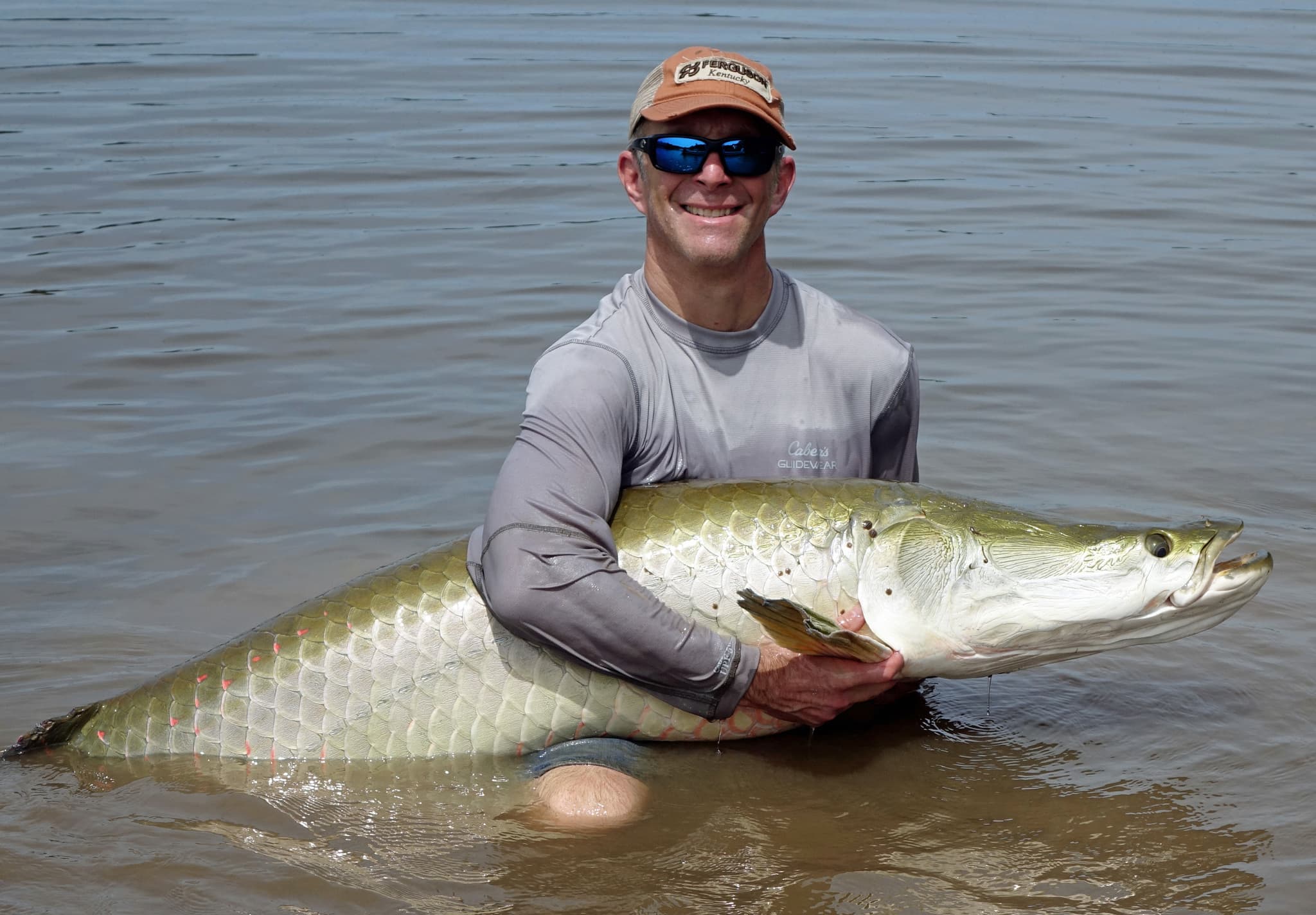 Arapaima — photograph 3